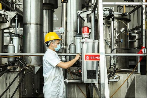 品质升级与技术创新 槟榔产业实现高质量发展的自我革新之路